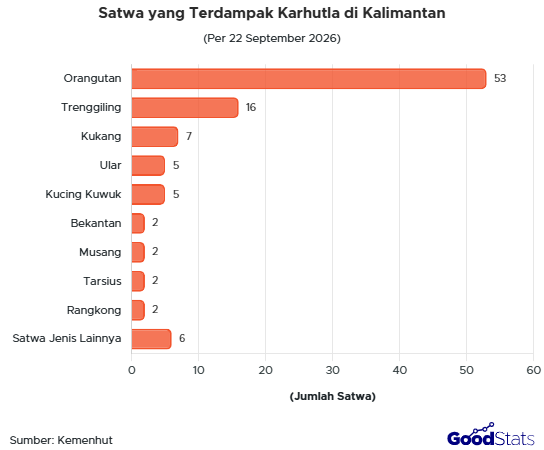 Satwa yang Terdampak Karhutla di Kalimantan