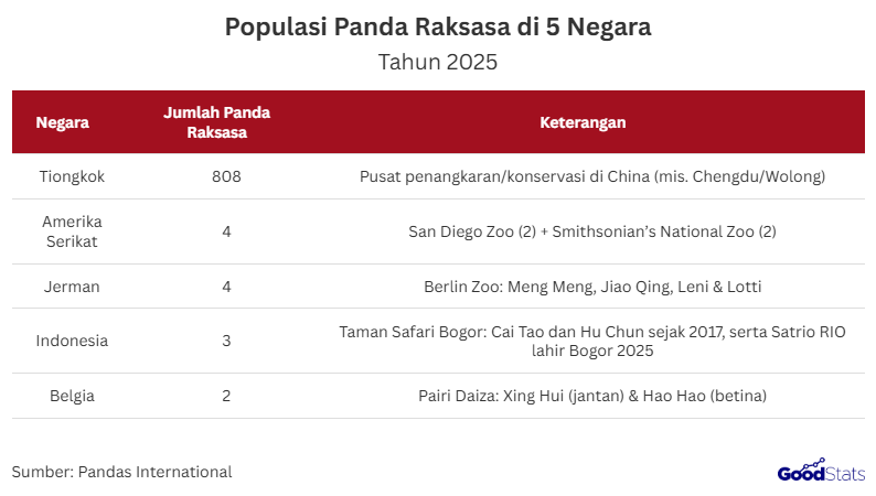 Kelahiran bayi panda raksasa bernama Rio di Taman Safari Bogor menjadi kabar menggembirakan bagi upaya konservasi satwa langka dunia.   Peristiwa ini tidak hanya menandai keberhasilan penangkaran panda di Indonesia, tetapi juga memperkuat harapan global terhadap pelestarian panda raksasa melalui kerja sama internasional.  Kabar Gembira dari Bogor: Lahirnya Bayi Panda Raksasa  Kabar gembira datang dari Bogor setelah Taman Safari Indonesia mengumumkan kelahiran bayi panda raksasa di fasilitas konservasi Cisarua, Puncak Bogor, Jawa Barat pada 27 November 2025.   Bayi panda ini kemudian diberi nama “Satrio Wiratama” oleh Presiden RI Prabowo Subianto pada 4 Desember 2025, dengan nama panggilan Rio.   Rio merupakan anak dari pasangan panda raksasa Hu Chun dan Cai Tao, yang berada di Indonesia sejak 2017 dalam kerja sama konservasi Indonesia–Tiongkok.   Kelahiran Rio menjadi momen penting karena memberi harapan baru di tengah populasi panda raksasa yang diperkirakan sekitar 1.900-an ekor, sekaligus menunjukkan perawatan dilakukan serius dengan pendampingan ahli dari CCRCGP sesuai standar global.  Populasi Panda Raksasa Dari 5 Negara Caption     Tiongkok Menjadi Satu-satunya Negara yang Memiliki Panda Raksasa Terbanyak | GoodStats  Populasi panda raksasa tahun 2025 menunjukkan konsentrasi terbesar berada di Tiongkok dengan total sekitar 808 individu.  Jumlah tersebut didukung oleh pusat penangkaran dan konservasi besar seperti Chengdu dan Wolong.  Amerika Serikat memiliki empat panda raksasa yang tersebar di San Diego Zoo dan Smithsonian’s National Zoo.  Jerman juga tercatat memiliki empat panda raksasa yang semuanya berada di Berlin Zoo.  Indonesia memiliki tiga panda raksasa yang berada di Taman Safari Bogor sebagai hasil kerja sama konservasi dengan Tiongkok.  Keberadaan panda di Indonesia menjadi istimewa karena adanya kelahiran bayi panda Satrio RIO pada 2025.  Belgia memiliki dua panda raksasa yang dirawat di Pairi Daiza, yaitu Xing Hui dan Hao Hao.  Secara keseluruhan bahwa panda raksasa di luar Tiongkok masih terbatas dan bergantung pada kerjasama konservasi internasional.   Karena itulah, kabar kelahiran bayi panda di Indonesia ikut terasa berarti, sebab Indonesia termasuk negara yang dipercaya terlibat dalam kerjasama konservasi panda.  Diplomasi Konservasi Indonesia–Tiongkok  Diplomasi konservasi Indonesia–Tiongkok tercermin dari kerja sama pemeliharaan panda raksasa di Indonesia, termasuk pasangan Hu Chun dan Cai Tao yang berada di Indonesia sejak 2017.   Melalui skema ini, panda yang berada di luar China umumnya merupakan bagian dari program konservasi, penelitian, dan edukasi, sehingga menjadi simbol kolaborasi lintas negara untuk melindungi satwa rentan.   Kelahiran bayi panda Rio (Satrio Wiratama) di Bogor menunjukkan bahwa kerja sama tersebut tidak hanya bersifat simbolik, tetapi juga berdampak nyata pada keberhasilan perawatan dan pengembangbiakan.   Hal ini diperkuat dengan kehadiran ahli dari China Conservation and Research Centre for the Giant Panda (CCRCGP) yang tetap mendampingi perawatan agar sesuai standar global.  Fakta Ilmiah tentang Panda Raksasa  Panda raksasa (Ailuropoda melanoleuca) adalah mamalia dari keluarga beruang (Ursidae) yang berasal dari pegunungan di Tiongkok bagian tengah, khususnya wilayah Sichuan, Shaanxi, dan Gansu, dengan habitat hutan yang memiliki bambu lebat.   Secara ilmiah, panda memiliki adaptasi unik berupa “pseudo thumb” (tulang pergelangan tangan yang memanjang) yang membantu mereka menggenggam batang bambu saat makan.  Meski makanannya dominan bambu, sistem pencernaan panda lebih mirip karnivora sehingga penyerapan nutrisinya kurang efisien dan mereka harus mengonsumsi sekitar 70–100 pon bambu per hari.   Dari sisi reproduksi, panda betina hanya berovulasi sekali setahun dengan masa subur sangat singkat (sekitar 2–3 hari), dan masa kebuntingan berkisar 90–180 hari sehingga laju kelahiran alami cenderung lambat.   Anak panda yang baru lahir sangat kecil (sekitar 3–5 ons), lahir tanpa bulu dan belum bisa melihat, lalu umumnya baru membuka mata pada usia 6–8 minggu sehingga butuh perawatan intensif di awal kehidupan.  Dampak Positif Kelahiran Panda di Indonesia  Kelahiran bayi panda raksasa di Taman Safari Indonesia menjadi kabar baik karena menambah harapan bagi upaya konservasi, mengingat populasi panda liar diperkirakan hanya sekitar 1.864 sampai 1.900-an ekor.   Peristiwa ini juga memperkuat kerjasama konservasi Indonesia–Tiongkok, termasuk pendampingan ahli dari China Conservation and Research Centre for the Giant Panda (CCRCGP) agar perawatan bayi panda sesuai standar global.   Dari sisi edukasi, kelahiran panda di Indonesia dapat meningkatkan kesadaran masyarakat tentang pentingnya perlindungan satwa langka dan pelestarian habitat.   Selain itu, keberhasilan penangkaran berpotensi mendukung daya tarik wisata konservasi yang berdampak positif pada kunjungan dan kegiatan penelitian di fasilitas satwa.  Baca Juga:  Sumber:  https://www.pandasinternational.org/pandas-around-the-globe  https://nationalzoo.si.edu/animals/giant-panda