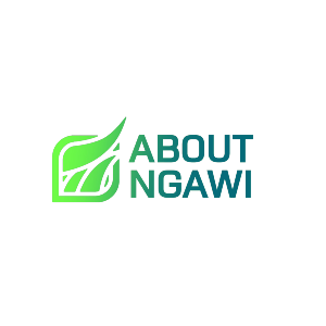 About Ngawi